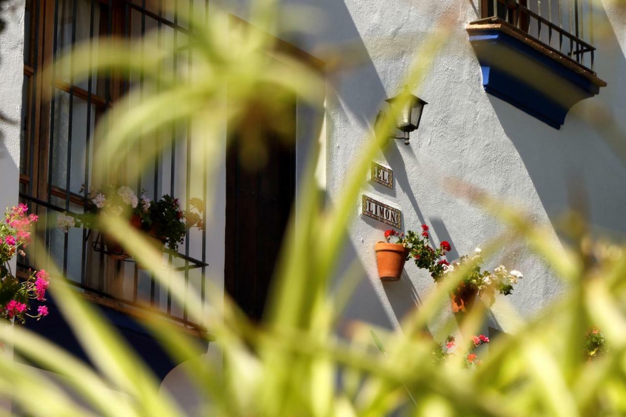 Casitas De La Sierra Villa Montejaque Dış mekan fotoğraf